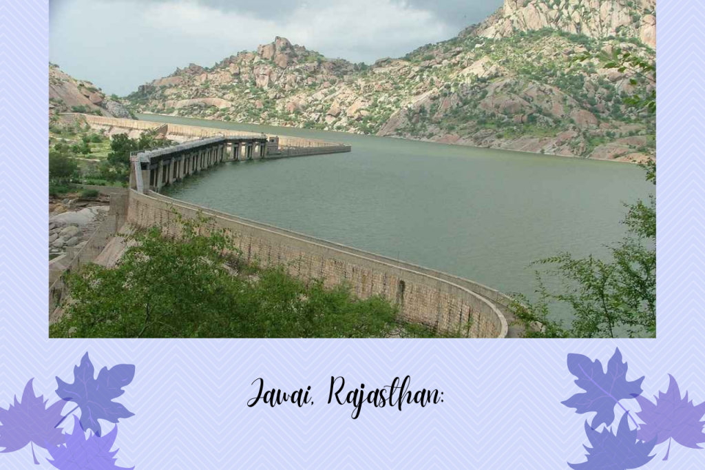 Jawai_Rajasthan
